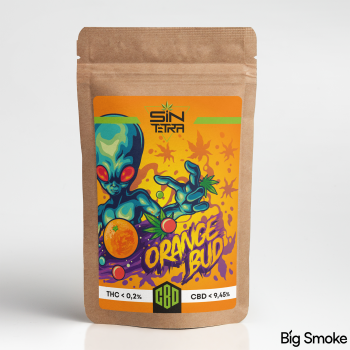 SIN TETRA | Orange Bud